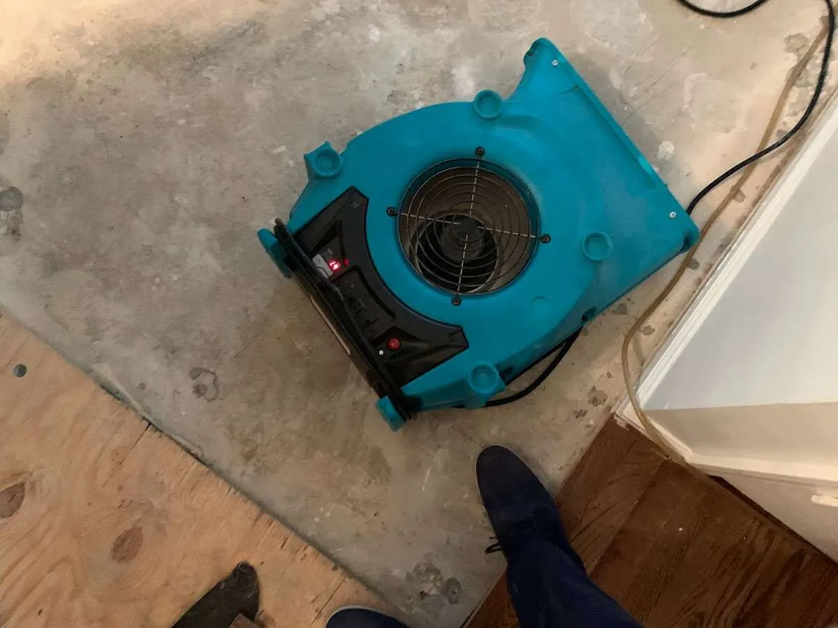 Air mover drying subfloor during Commercial Water Damage Restoration in Peabody
